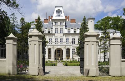 Castle for sale Malina, Łódź Voivodeship