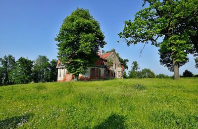 Manor House for sale Pelplin, Kociewie, Pomerania, Photo 23/24