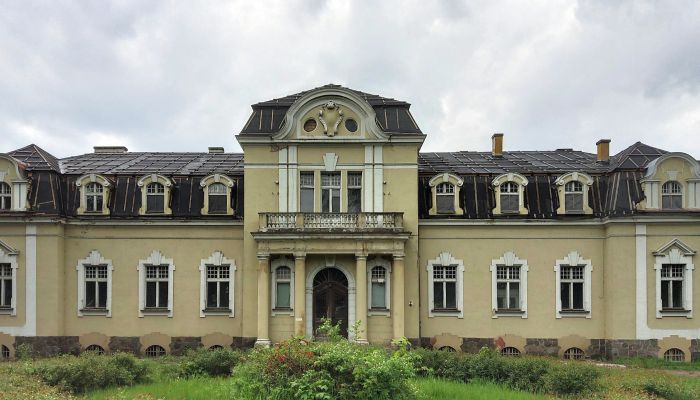 Castle for sale Mielno, Greater Poland Voivodeship,  Poland