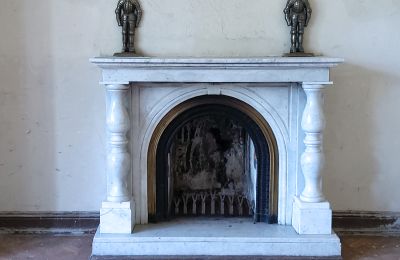 Castle for sale Mielno, Greater Poland, Fireplace
