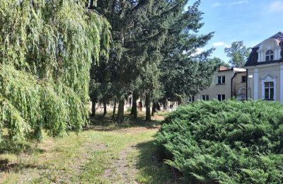 Castle for sale Mielno, Greater Poland, Photo 20/26