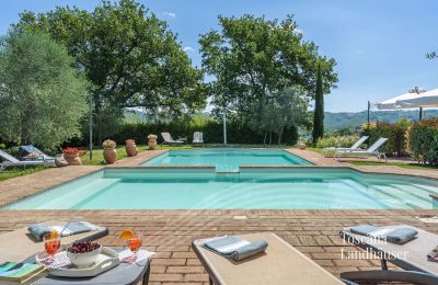 Country House for sale Asciano, Tuscany:  RIF 2992 Pool und Liegemöglichkeit