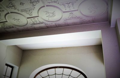 Castle for sale Sosnowiec, Chemiczna 12, Silesia, Stucco decorations