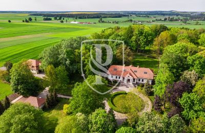 Manor House for sale Przedbórz, Łódź Region, Drone view