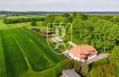 Manor House for sale Przedbórz, Łódź Region, Photo 29/42
