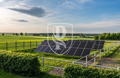Manor House for sale Przedbórz, Łódź Region, Photo 35/42