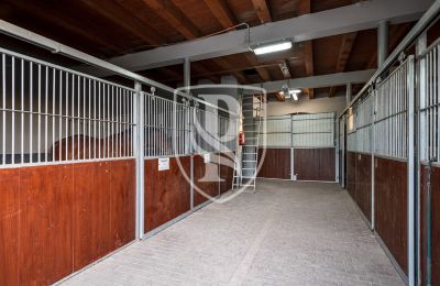 Manor House for sale Przedbórz, Łódź Region, Photo 41/42