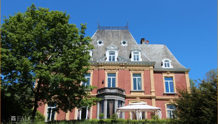 Chateaux for sale Belgium