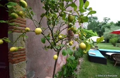 Castle for sale 31000 Toulouse, Occitania, Photo 17/36