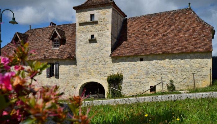 Manor House for sale Occitania,  France