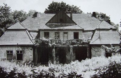 Manor House for sale Boksyce, Dwór w Boksycach 25, Holy Cross Region, Photo 18/24