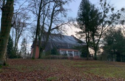 Manor house for sale 14-330 Sople, Dworek Sople 17, Warmia-Masuria, Photo 12/13