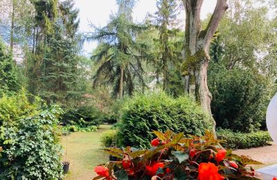 Manor house for sale 14-330 Sople, Dworek Sople 17, Warmia-Masuria, Photo 11/13