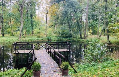 Manor house for sale 14-330 Sople, Dworek Sople 17, Warmia-Masuria, Lake