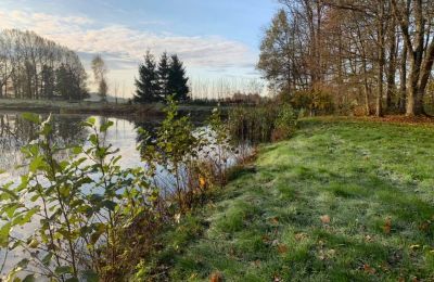 Manor house for sale 14-330 Sople, Dworek Sople 17, Warmia-Masuria, Lake