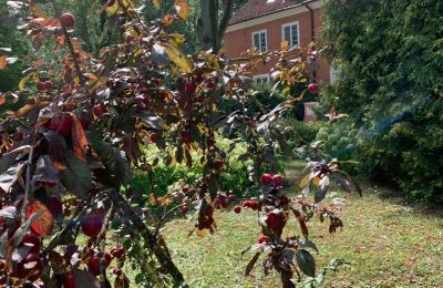 Manor house for sale 14-330 Sople, Dworek Sople 17, Warmia-Masuria, Garden