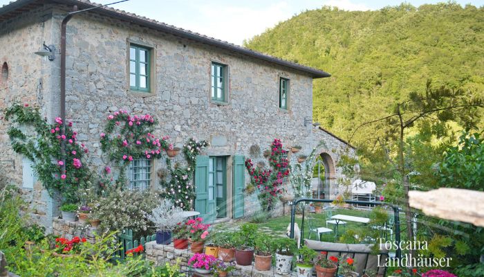 Country House Gaiole in Chianti 4