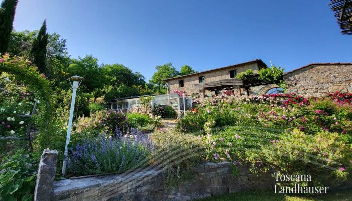 Country House Gaiole in Chianti 2