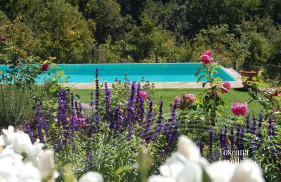 Country House for sale Gaiole in Chianti, Tuscany:  RIF 3003 Pool