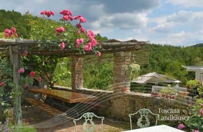 Country House for sale Gaiole in Chianti, Tuscany:  RIF 3003 Terrasse