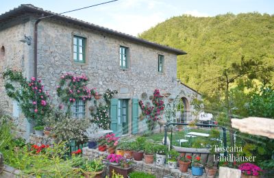 Country House for sale Gaiole in Chianti, Tuscany:  RIF 3003 Ansicht