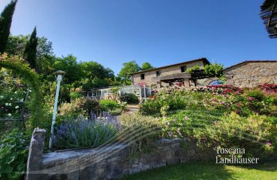 Country House for sale Gaiole in Chianti, Tuscany:  RIF 3003 Rustico