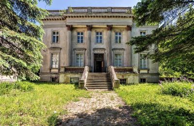 Castle for sale 64-610 Słomowo, Słomowo 1, Greater Poland, Front view