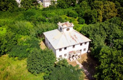 Historic Villa for sale Wodzisław, Brzezie 23, Holy Cross Region, Dron