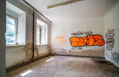 Historic Villa for sale Wodzisław, Brzezie 23, Holy Cross Region, Photo 12/27