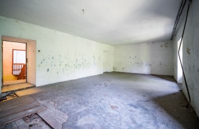Historic Villa for sale Wodzisław, Brzezie 23, Holy Cross Region, Photo 21/27
