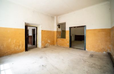 Historic Villa for sale Wodzisław, Brzezie 23, Holy Cross Region, Photo 23/27