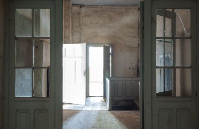 Abandoned Mecklenburg Manor to be auctioned off, Photo 3
