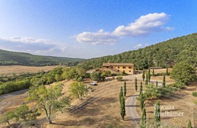 Country House for sale Sarteano, Tuscany:  RIF 3005 Zufahrt zum Anwesen