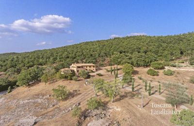 Country House for sale Sarteano, Tuscany:  RIF 3005 Anwesen und Umgebung