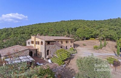Country House for sale Sarteano, Tuscany:  RIF 3005 Haus und Umgebung