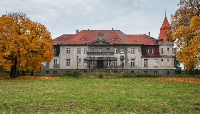 Castle for sale Karczewo, Greater Poland Voivodeship,  Poland