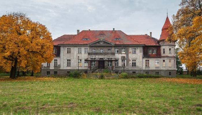 Castle for sale Karczewo, Greater Poland,  Poland