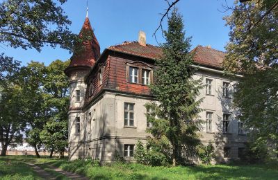 Castle for sale Karczewo, Greater Poland, Side view