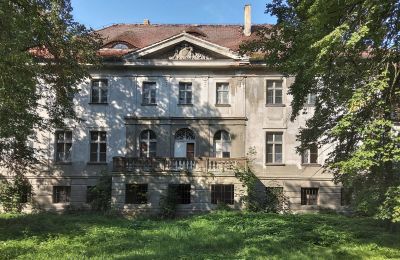 Castle for sale Karczewo, Greater Poland, Back view