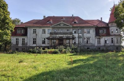 Castle for sale Karczewo, Greater Poland, Exterior View