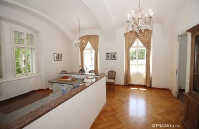 Castle for sale Jihomoravský kraj:  