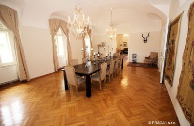 Castle for sale Jihomoravský kraj:  
