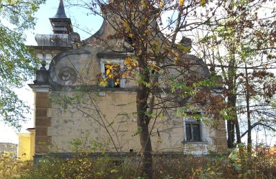 Historic Villa for sale Lubsko, Milosza 2, Lubusz, Photo 7/7