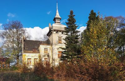 Historic Villa for sale Lubsko, Milosza 2, Lubusz, Photo 1/7