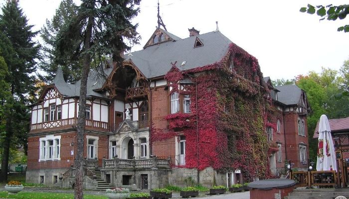 Historic Villa Kudowa-Zdrój 4