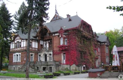 Historic Villa for sale Kudowa-Zdrój, Zdrojowa 36, Lower Silesian Voivodeship:  