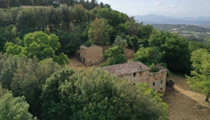  Città di Castello 2