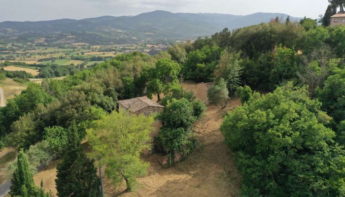 Farmhouse Città di Castello 3