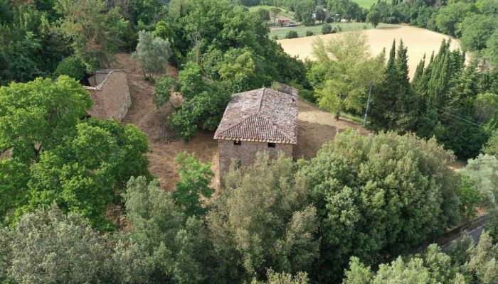  Città di Castello 5