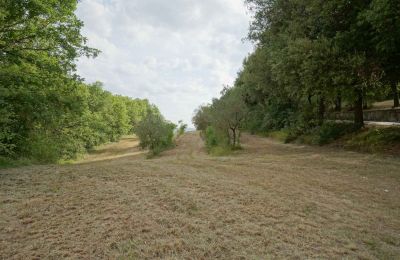 Farmhouse for sale Città di Castello, Umbria:  